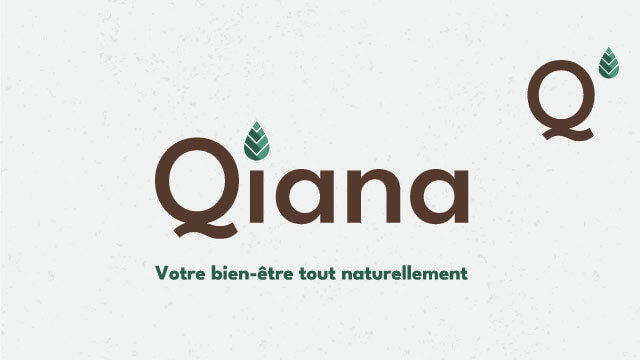 Encart project Branding pour Qiana, Antoine, par Julie Martins, Branding & Motion Design designer